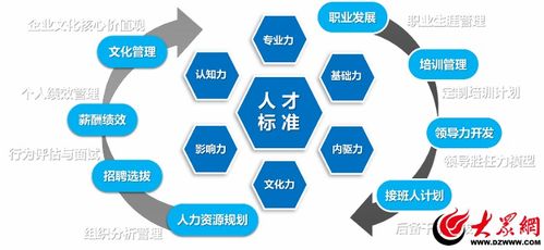 创新打造人力资源管理系统 促进行业整体效能提升——潍坊人力资源服务数字化转型纪实（二）